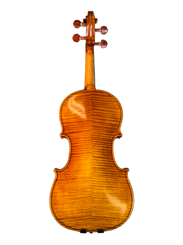 Morpheus Strings Violin's Honey Rosewood back