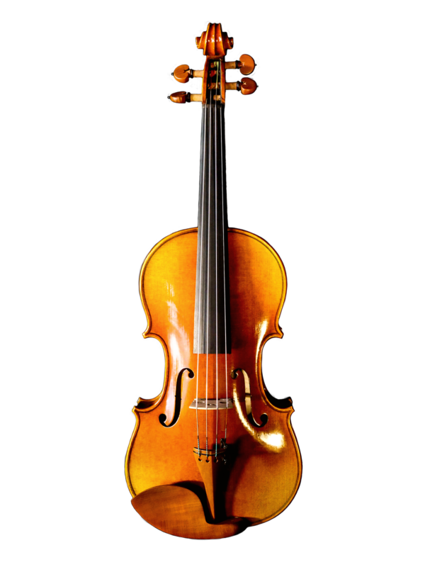 Morpheus Strings Violin's