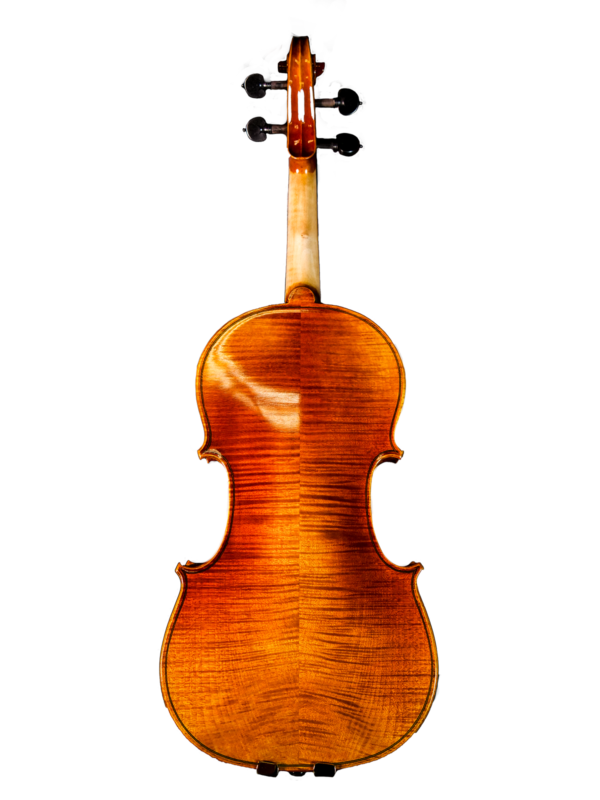 Morpheus Strings Violin's Honey Ebony back