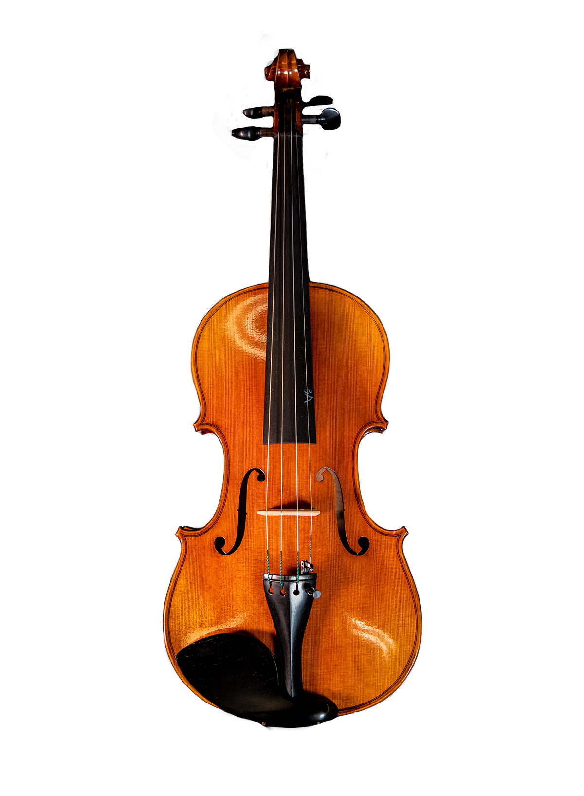 Morpheus Strings Violin's Honey Ebony back