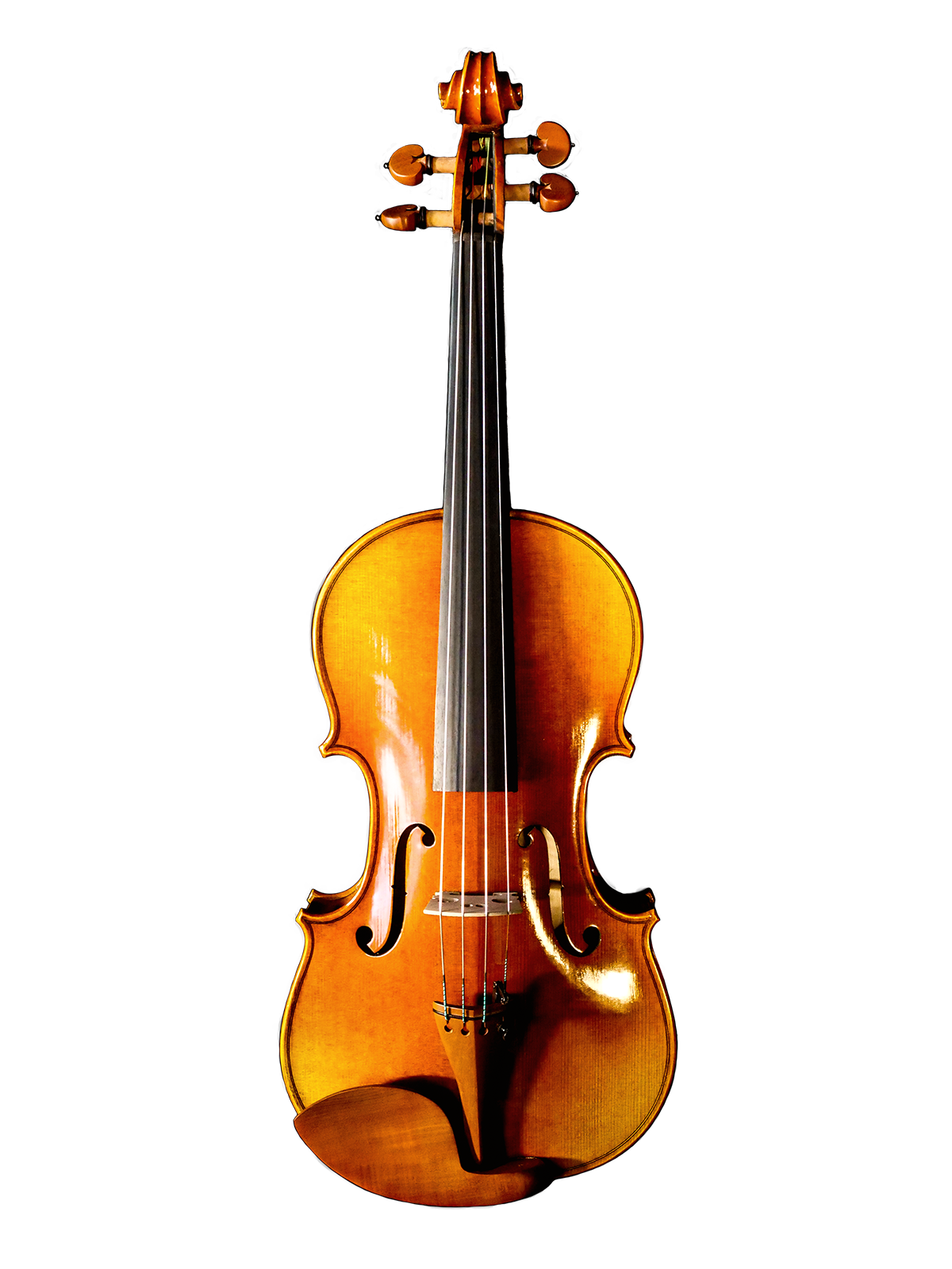 Morpheus Strings Violin's Honey Rosewood back