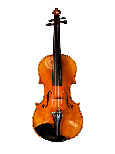 Morpheus Strings Violin's Honey Ebony